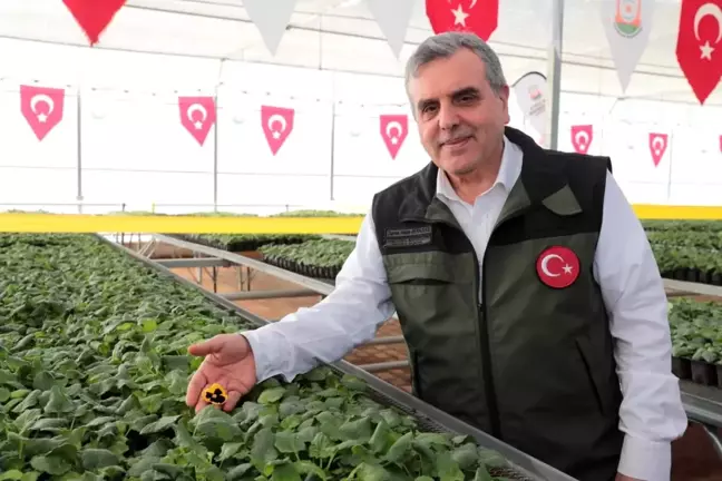 Şanlıurfa'da Toplum Temelli Sera Projesi Açıldı