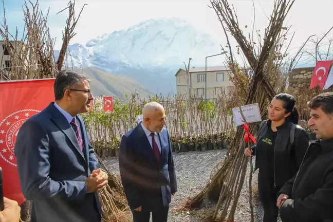 Hakkari'de çiftçilere meyve fidanı dağıtıldı
