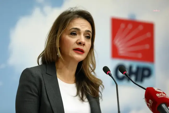 CHP Milletvekili Gamze Akkuş İlgezdi: İktidar Türk halkına fakirliği reva görüyor