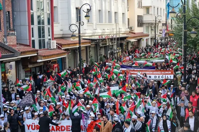Diyarbakır, Siirt ve Elazığ'da Gazze'ye Destek Etkinlikleri Gerçekleştirildi