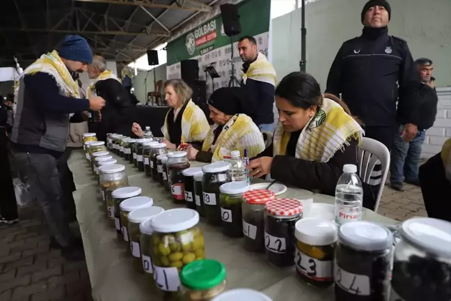 Gölbaşı Karagöl Zeytin Kültür ve Sanat Festivali, yapıldı