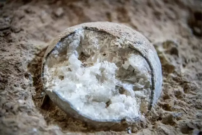 Çin'de Kristalleşmiş Dinozor Yumurtaları Bulundu