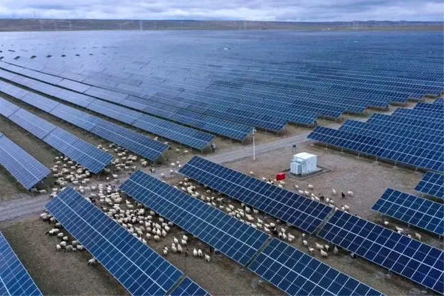 Çin'de 900 Megavatlık Fotovoltaik Proje Faaliyete Geçti