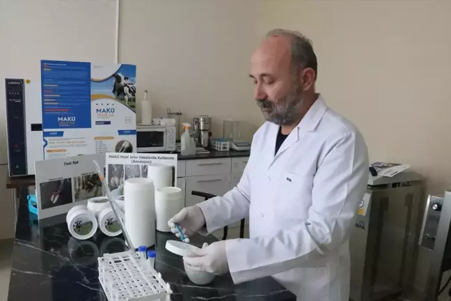 MAKÜ tarafından yerli jel üretildi, hayvanların ayak ve tırnak yaralarına çözüm