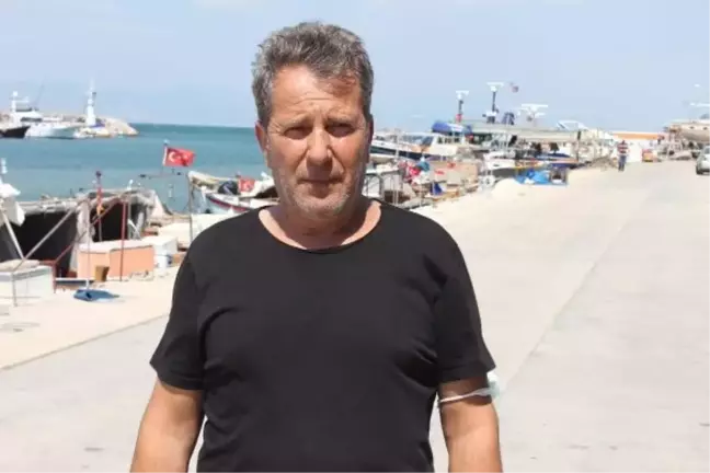 Kızıldeniz'den gelen balon balığı İzmir ve İstanbul'a göç etti