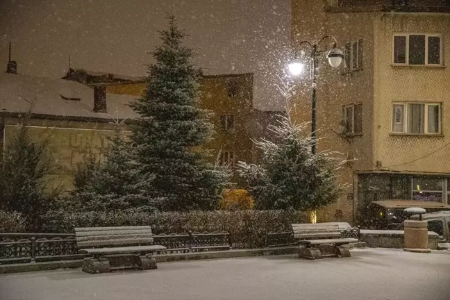 Doğu Anadolu'da Kar Yağışı Etkisini Sürdürüyor