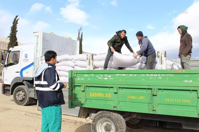 Antalya Büyükşehir Belediyesi, Büyükbaş Hayvan Yetiştiricilerine Yem Desteği Sağlıyor