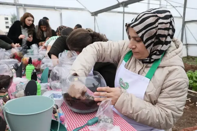 Diyarbakır Yenişehir Belediyesi'nden kadınlara teraryum eğitimi