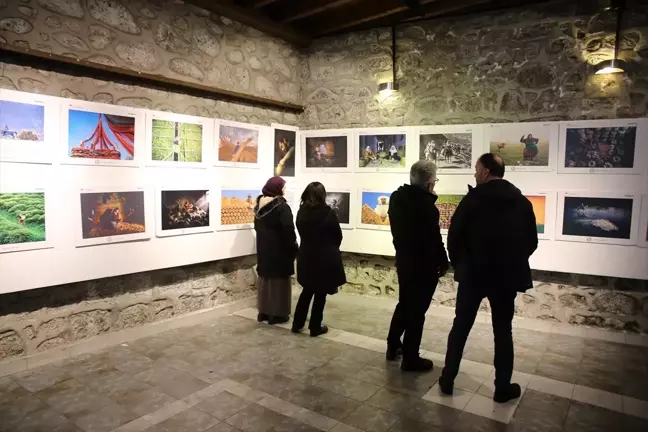 Giresun'da Tarım, Orman ve İnsan Temalı Fotoğraf Sergisi Açıldı