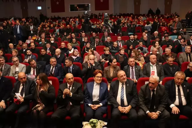 Meral Akşener: Biz demli kafalarla da beraber değiliz