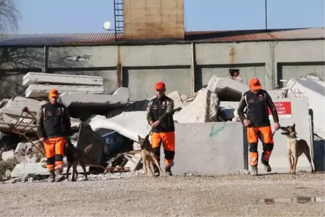 TSK'ya bağlı arama kurtarma köpekleri enkaz ve çığ aramalarında görev yapıyor