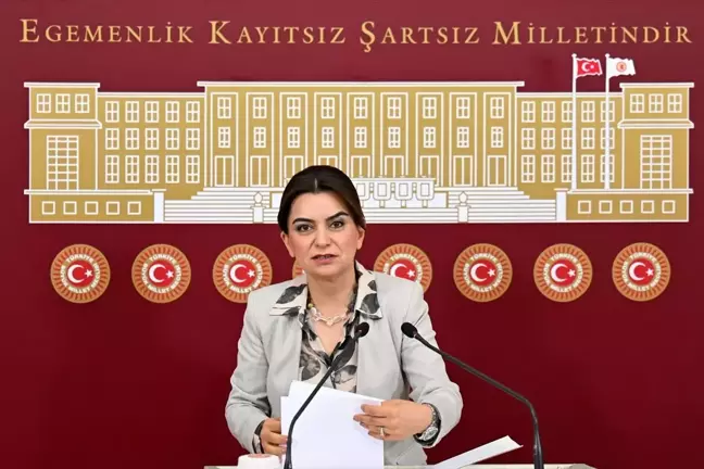 DEM Parti Grup Başkanvekili Gülüstan Kılıç Koçyiğit: Başak Demirtaş DEM Parti'nin aday adayıdır