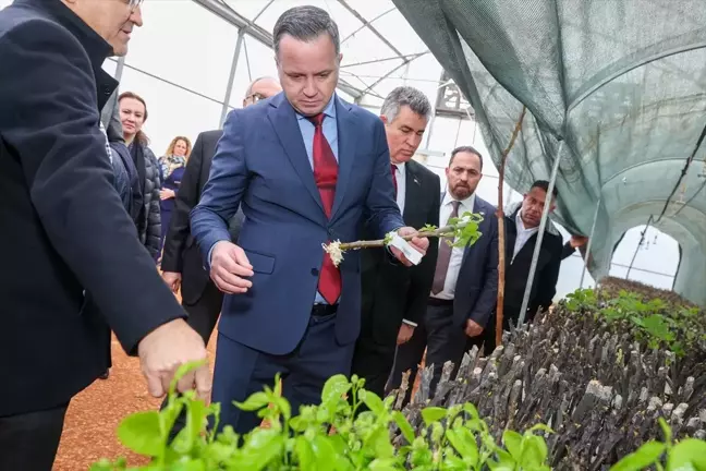 KKTC'de Kuru Baklagiller Üretiminin Geliştirilmesi Projesi Uygulamaya Geçiriliyor