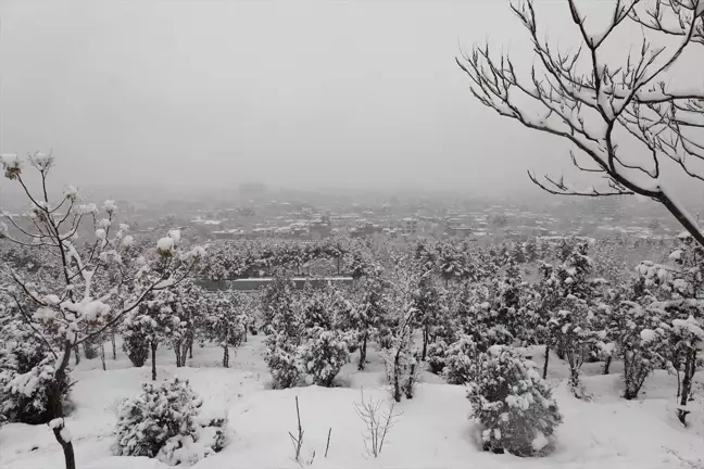 Afganistan'da Yoğun Kar Yağışı