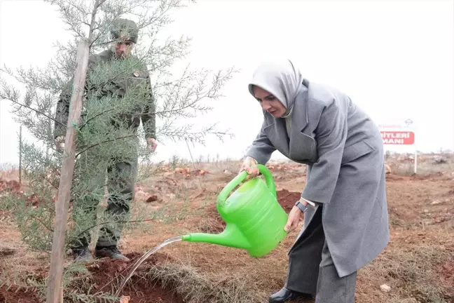 Bakan Göktaş, deprem anısına hatıra ormanının ilk fidanını dikti