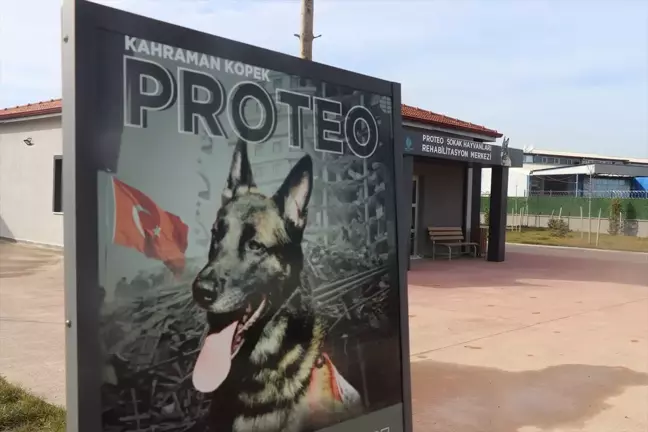 Adıyaman'da Ölen Köpeğin İsmiyle Rehabilitasyon Merkezi