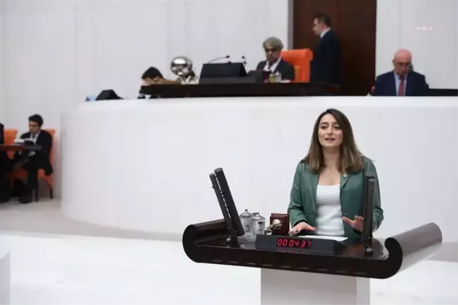 CHP Milletvekili Aysu Bankoğlu, Adalet Bakanı Tunç'a Sezgin Baran Korkmaz ile ilgili sorular sordu