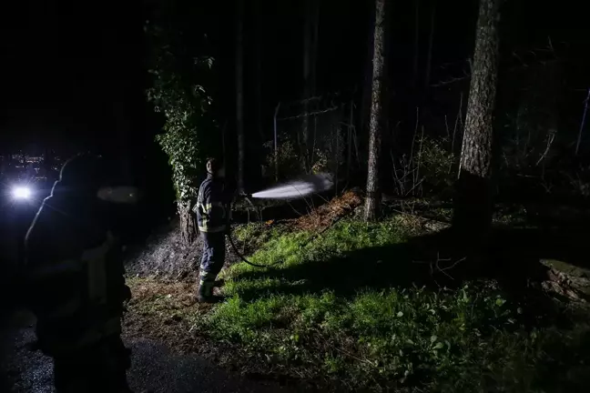 Uludağ eteklerinde çıkan orman yangını söndürüldü