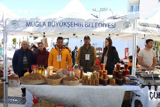 Muğla'da Badem Çiçeği Festivali Başladı