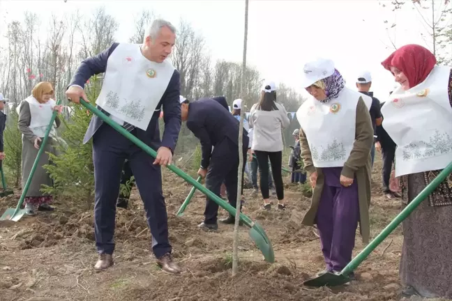 Hendek Belediye Başkanı Turgut Babaoğlu, Tarım Alanında Yaptığı Hizmetleri Anlattı