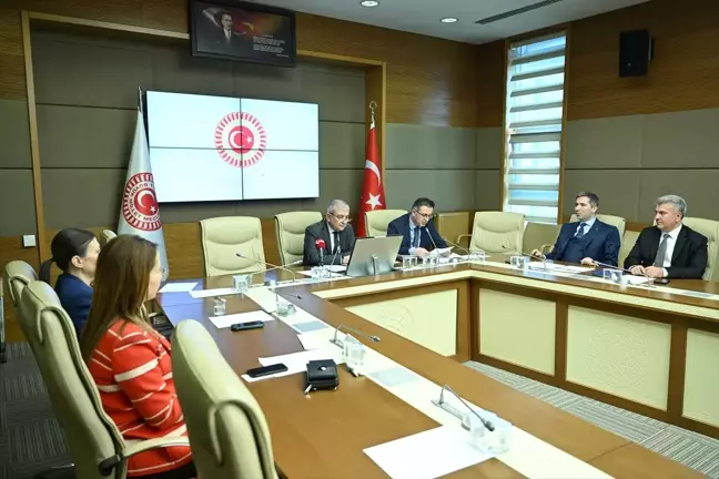 Yurtdışı Türkler ve Akraba Topluluklar Alt Komisyonu'nun Başkanı Belli Oldu