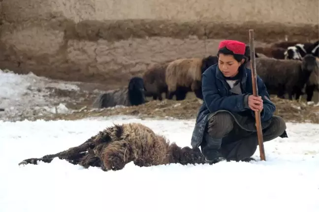Afganistan'da Soğuk Hava Dalgası: 39 Kişi Hayatını Kaybetti