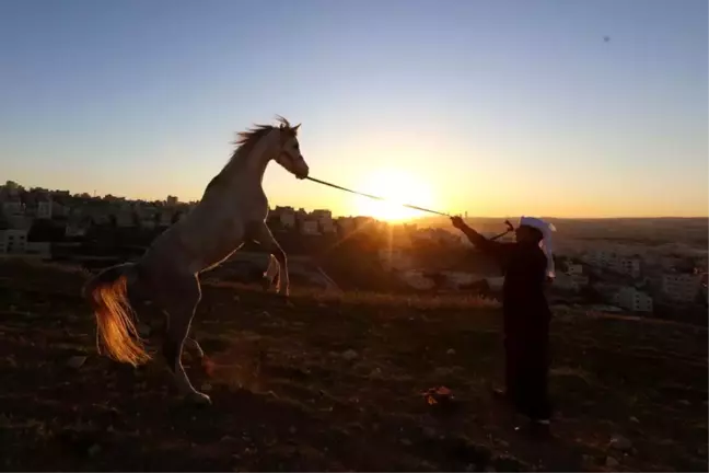 Arap Atı: Tarihi ve Özellikleri