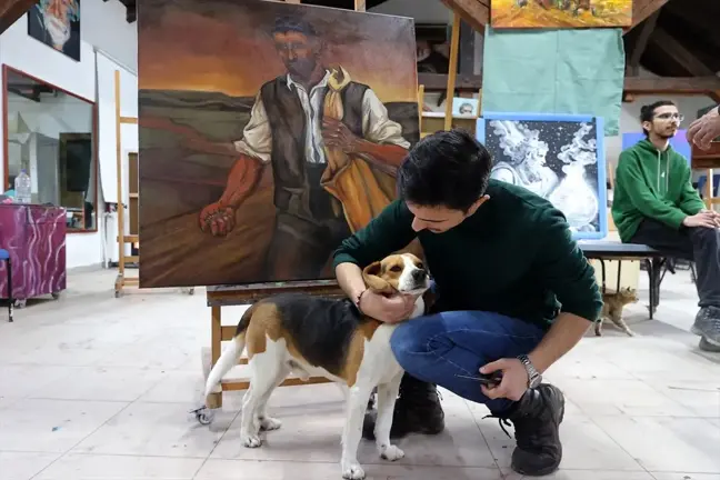 Trakya Üniversitesi Güzel Sanatlar Fakültesi'nde Kedi ve Köpekler Öğrencilere Neşe Saçıyor