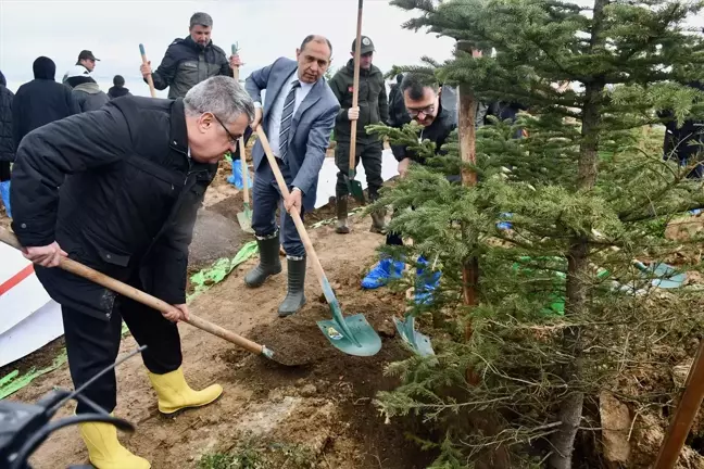 TÜBİTAK Gebze Yerleşkesi'nde 6 Bin Fidan Toprakla Buluştu