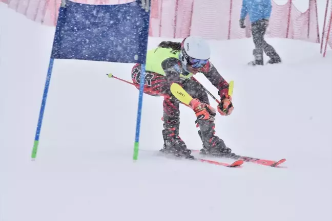 Türkiye Kayak Federasyonu Alp Disiplini Şampiyonası Sonuçları