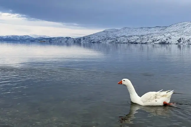 Elazığ'ın Hazarbaba Dağı yeniden beyaz örtüyle kaplandı