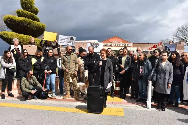 İzmir'de Hayvan Barınağında Öldürülen Köpekler Protesto Edildi