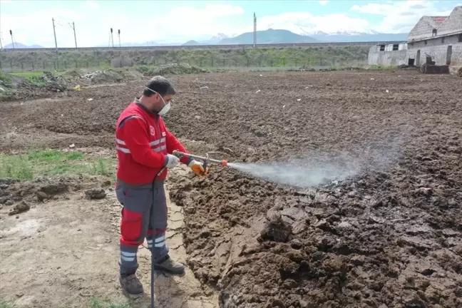 Kocasinan Belediyesi Yaz Dönemi İlaçlama Çalışmalarına Hız Verdi