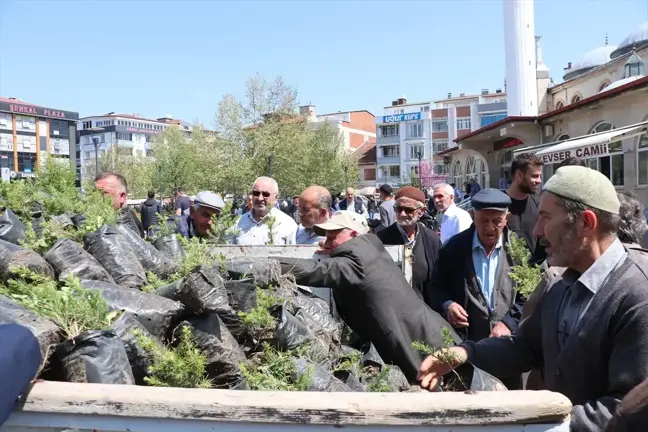Havza Belediyesi Vatandaşlara Ücretsiz Fidan Dağıttı