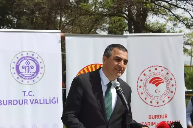 Burdur Gölü yakınındaki İlyas Köyü'nde 25 bin zeytin fidanı toprakla buluşturuldu