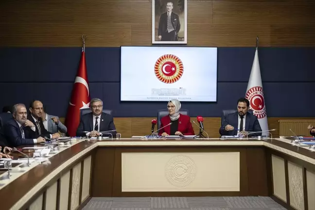 TBMM İnsan Haklarını İnceleme Komisyonu Çocuk Hakları Alt Komisyonu Ankara Büyükşehir Belediyesi Çocuk Meclisi Üyelerini Dinledi