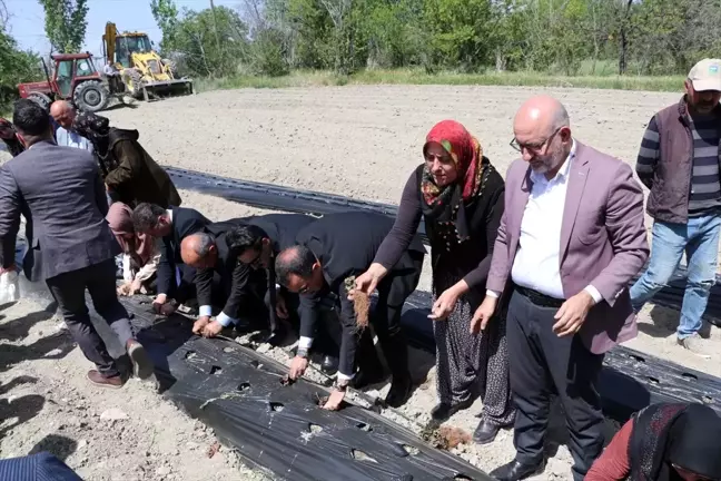 Burdur'da Kadınlara Çilek Fidesi Dağıtıldı