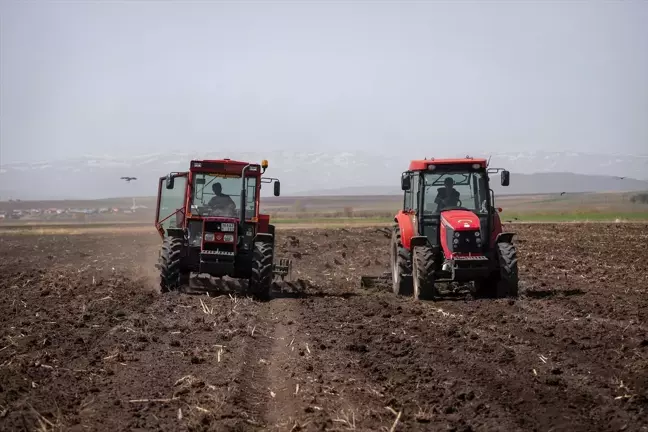 Kars'ta çiftçiler yem bitkisi ekimine başladı