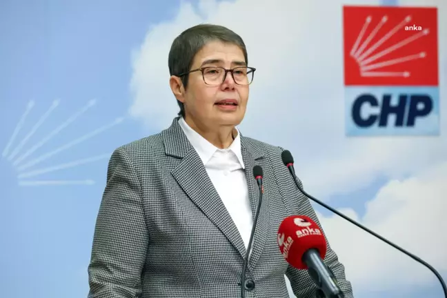 CHP'li Şahbaz: Menenjit vakaları artıyor, Sağlık Bakanlığı verileri gizliyor