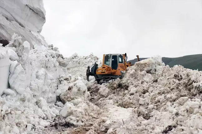 Ağrı'nın Taşlıçay ilçesinde kışın ulaşım sağlanamayan köylere yol açıldı