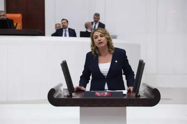 CHP'li Kara: Kayıp çocukların akıbetinin detaylıca araştırılması için Meclis Araştırma Komisyonu kurulmalı