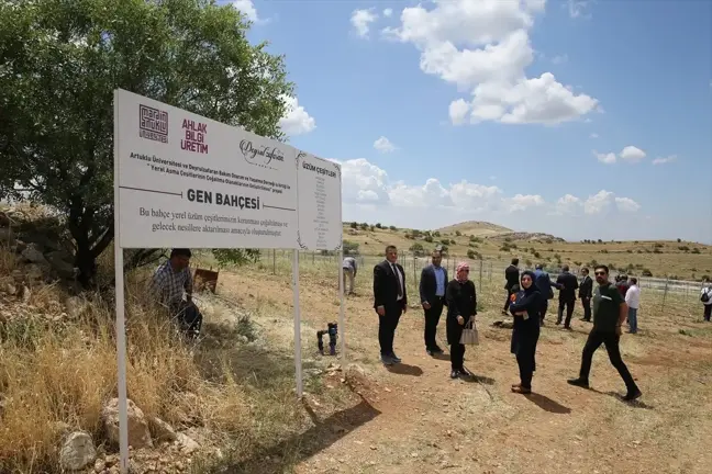 Mardin'deki Deyrulzafaran Manastırı'nda yerel üzüm çeşitlerinin korunması projesi