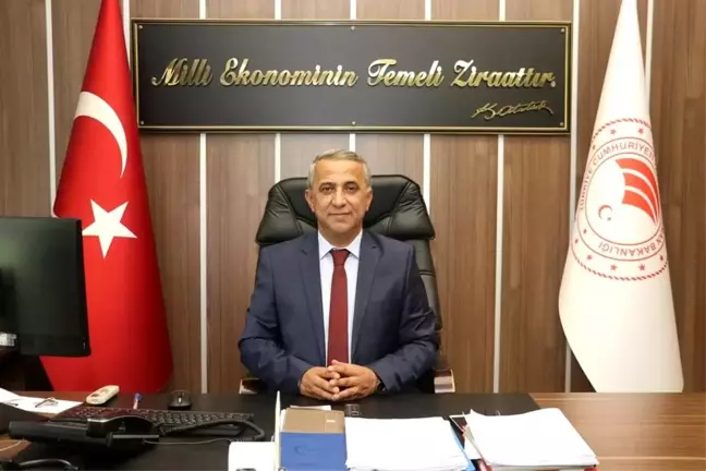 Samsun İl Tarım ve Orman Müdürü: Elma İç Kurdu Zararlısıyla Mücadele Önemli