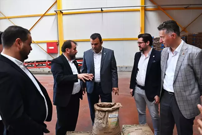 Süleymanpaşa Belediyesi'ne yerli üretim ayçiçeği tohumu hibesi