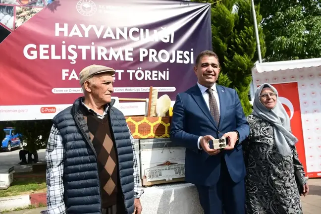 Düzce'de Kestane Ormanlarında Arıcılık Projesi Başladı