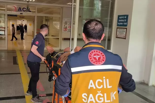 Siirt'te tarım aracı devrildi: 1 ölü, 1 yaralı