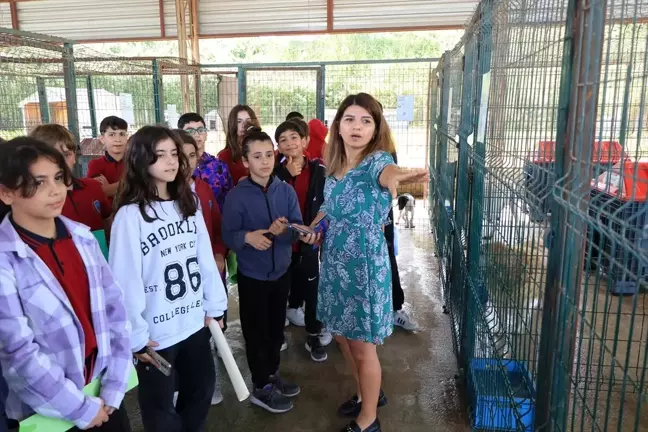 Yalova'da öğrenciler hayvan barınağında İngilizce dersi işledi