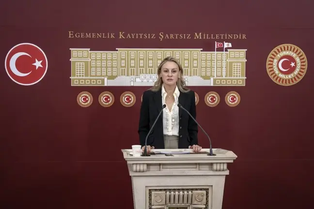 DEVA Partisi İzmir Milletvekili Seda Kaya Ösen: Milletvekillerinin çalışma alanları daraltıldı