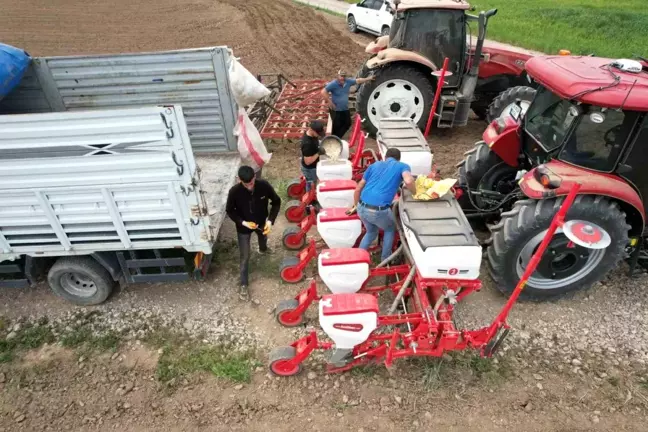 Tomarza'da Çerezlik Kabak Çekirdeği Ekimi Başladı
