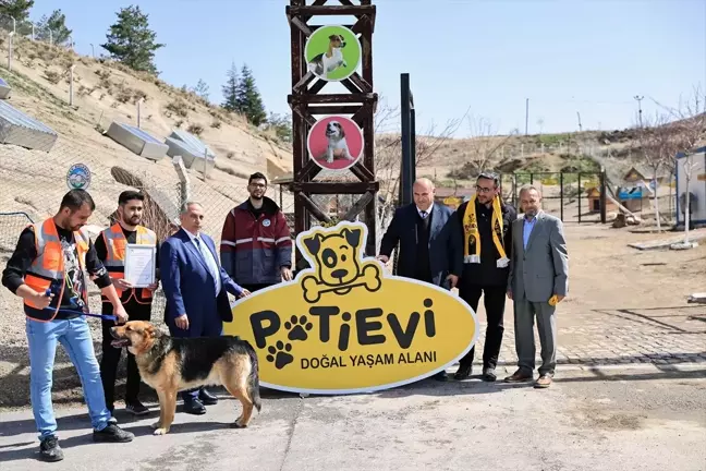 Talas Pati Evi Patili Dostlara Hizmet Vermeye Devam Ediyor